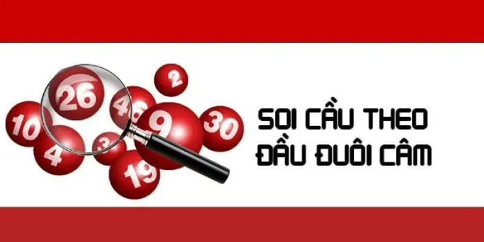 Khám phá lô lô - Độc dược không thể bỏ qua!