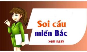 Tại Sao Nên Chọn Soi Cầu Xổ Số Miền Bắc 666?