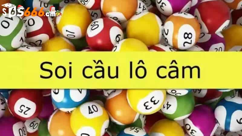 Bí quyết tuyệt vời cho những người mới bắt đầu chơi lô đề miền Bắc trong năm 2024