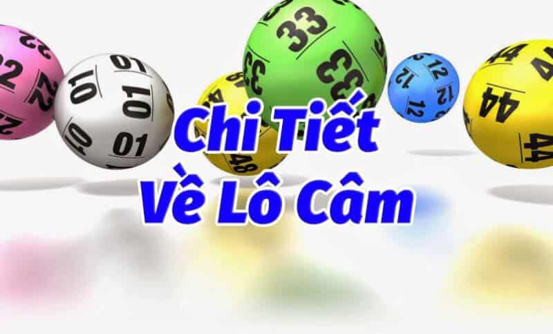 Lô đầu 0 câm hôm sau đánh con gì chắc ăn nhất?